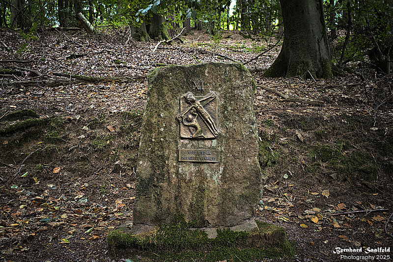 Bernhard Saalfeld - 11 Station